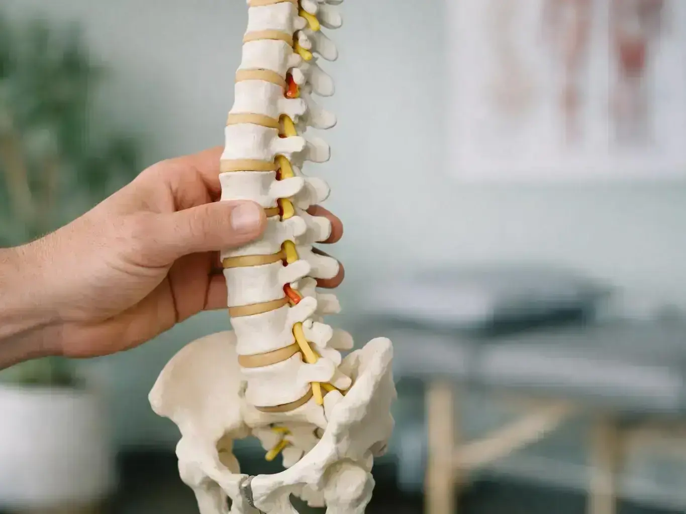 Chiropractor Port Wentworth, GA — in action