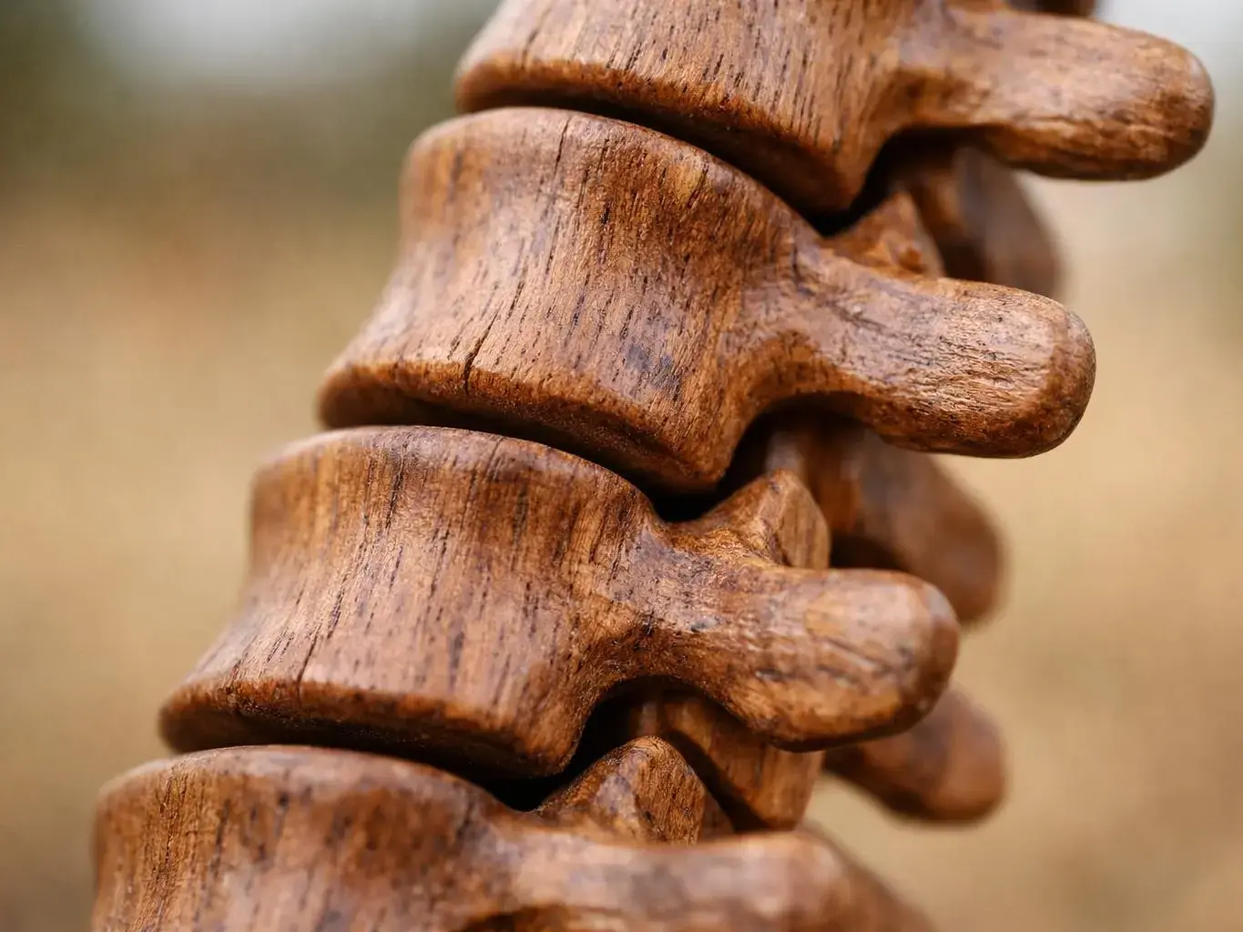 Chiropractor Tybee Island, GA — results